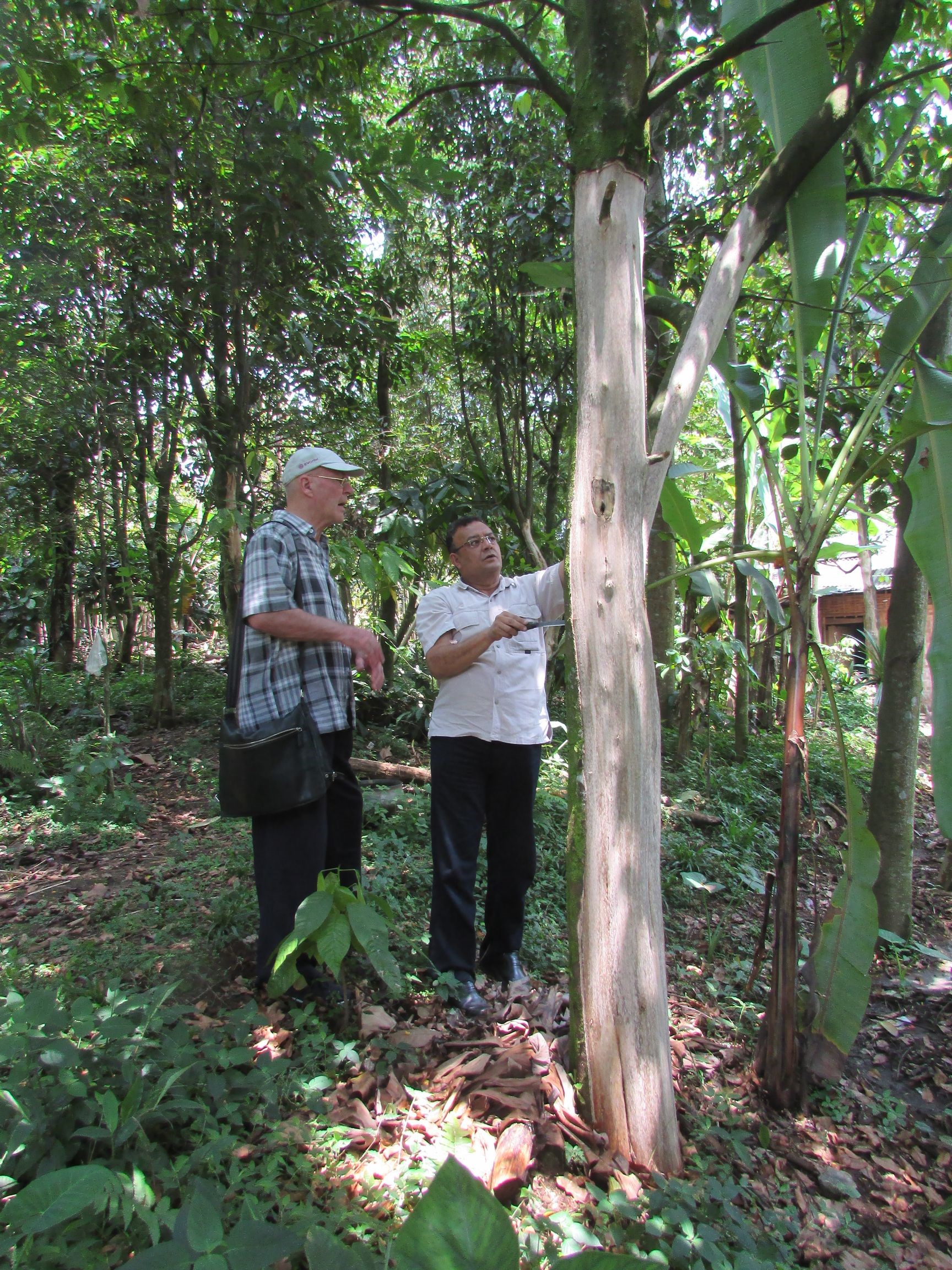 Pierre Franchomme visite le Centre de biologie tropicale BIOTROP - Indonésie